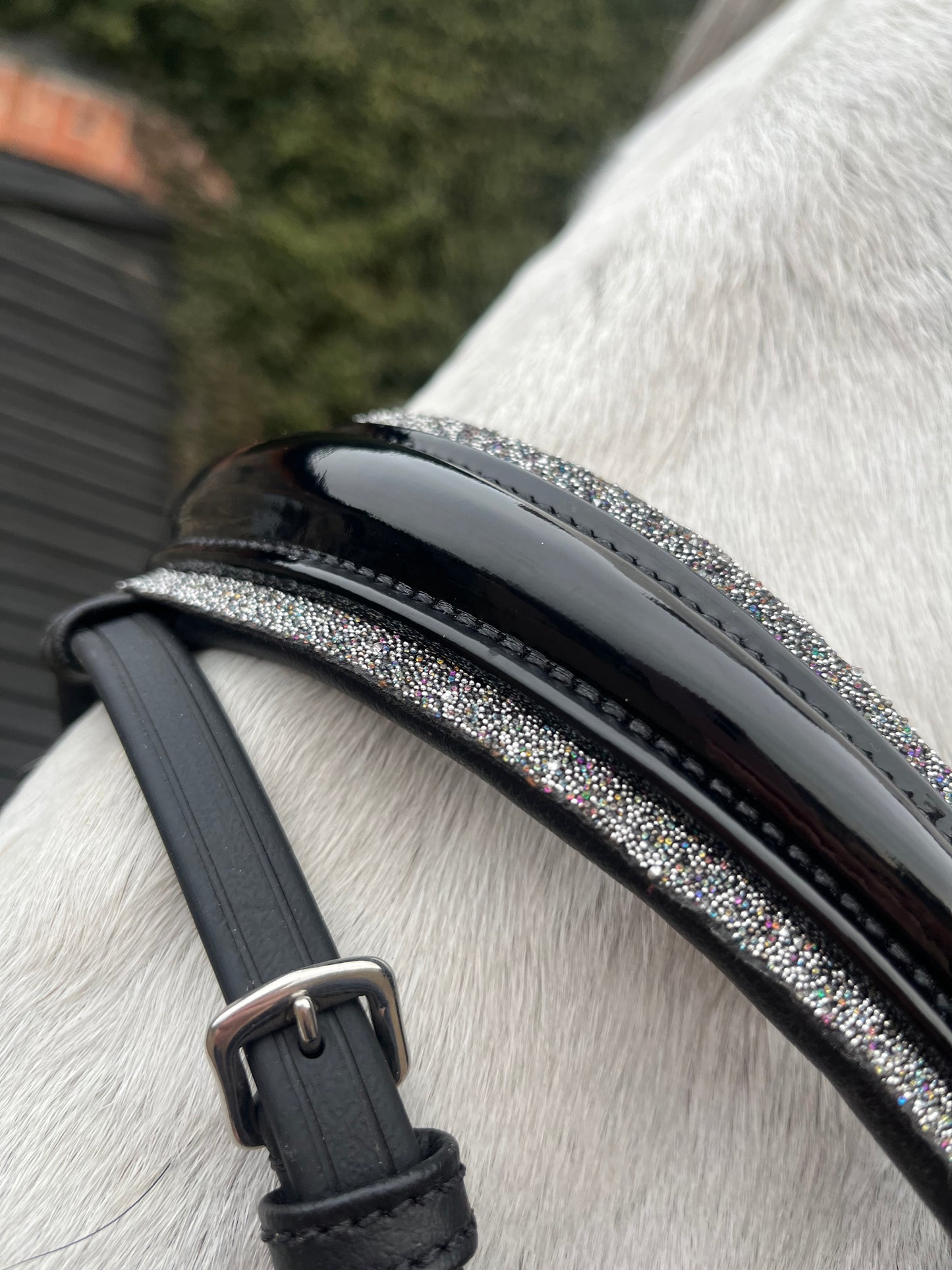 VE Dressage Bridle Classic Glitter