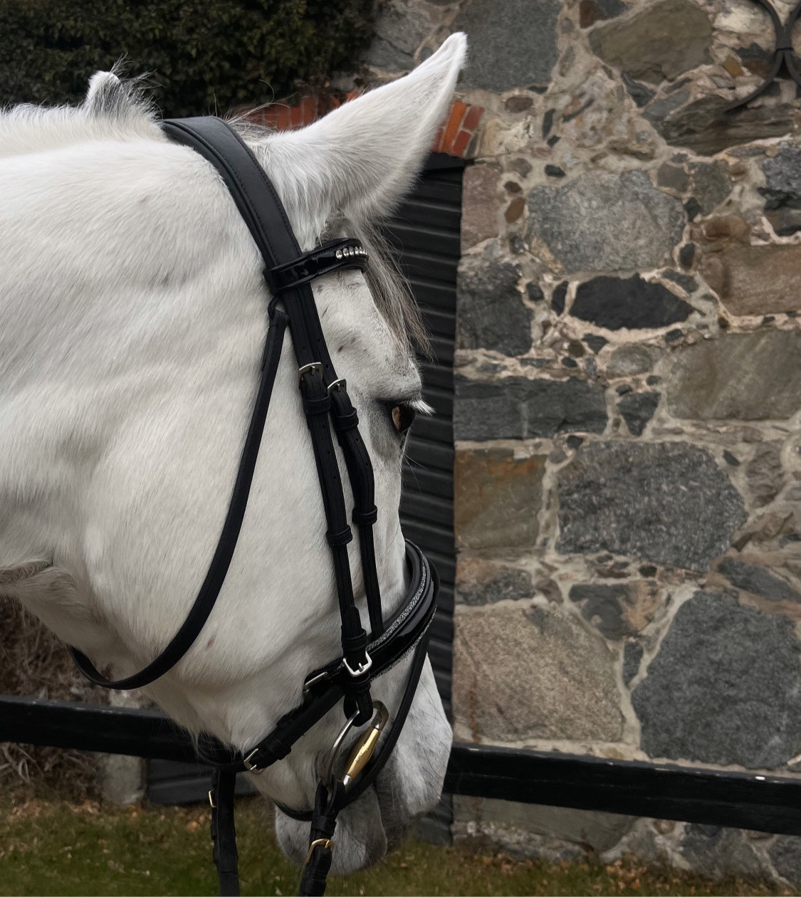 VE Dressage Bridle Classic Glitter