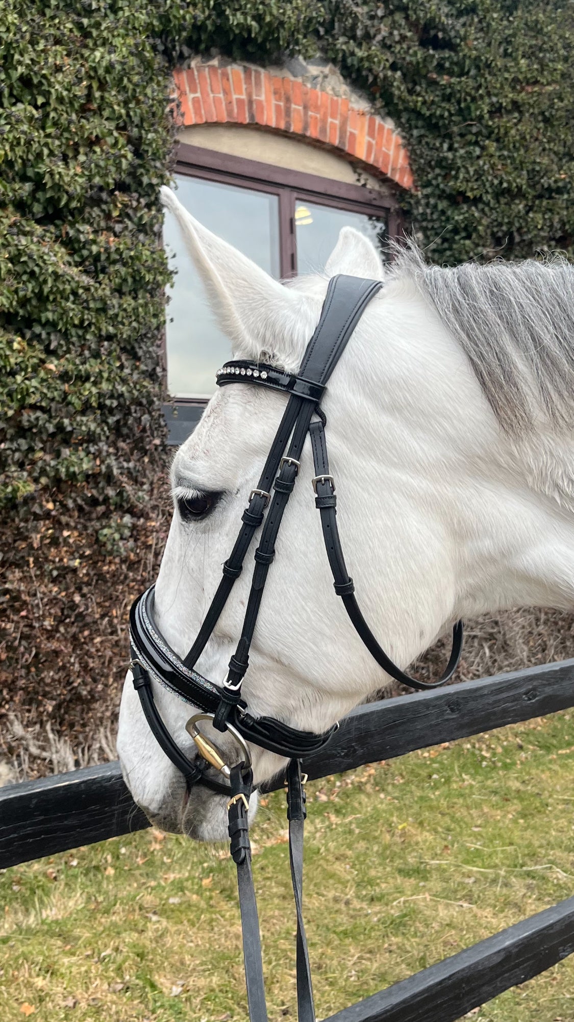 VE Dressage Bridle Classic Glitter